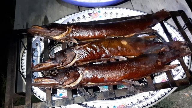 Астрахань Рыбалка Отдых для души часть 2 Осень 2021 Первые хищники на кукане #владимиррадеев