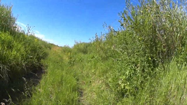 Рыбалка возле режимного моста. Чистая река без черного металла. смотреть онлайн