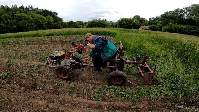 Окучивание картофеля дисками со стрельчатыми лапами. Hilling potatoes with pointed discs. смотреть онлайн