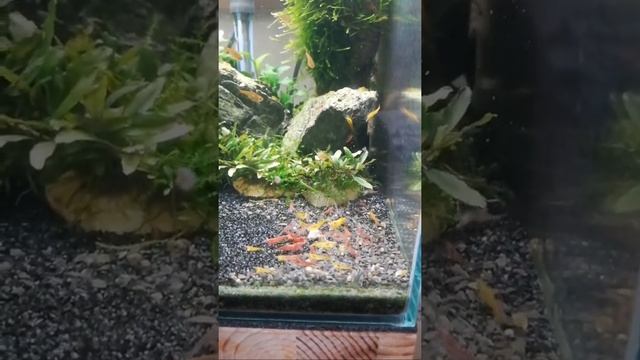 Пришёл на подмену воды... смотреть онлайн