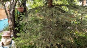 МАНТРА ДЛЯ ИЗГНАНИЯ ЗЛЫХ ДУХОВ.