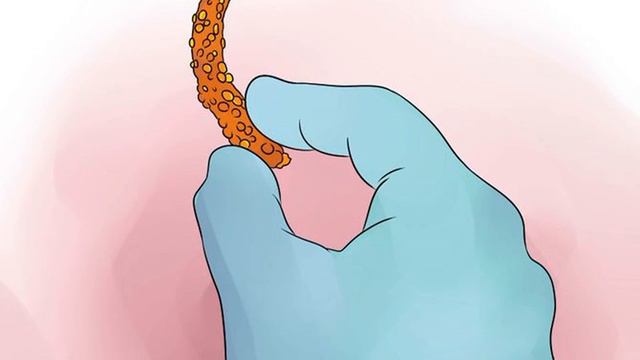 Cómo cultivar las plantas anthurium смотреть онлайн