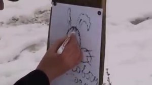 Пристрелка винтовки 5,6 ТОЗ - 99