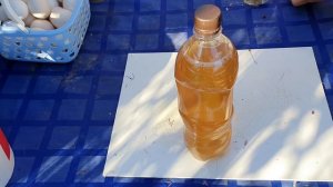 Лучшие витамины для кур: яблочный уксус и чеснок