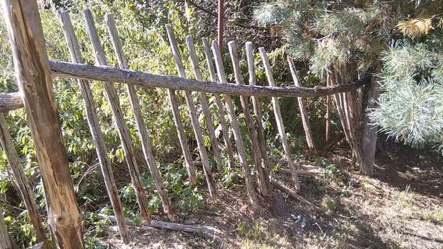 Хорошо в деревне летом... смотреть онлайн