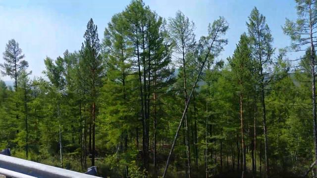 Пожар за Амазаром в забайкальском крае смотреть онлайн