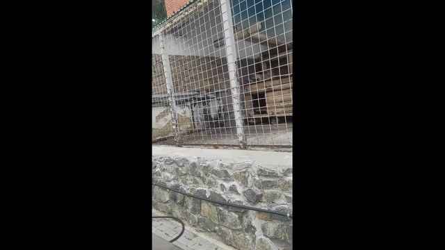 Челябинский зоопарк,парк Гагарина 1часть смотреть онлайн