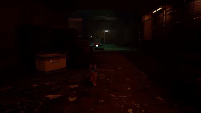 В поисках Клементины // Stray смотреть онлайн