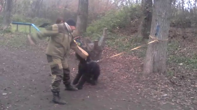 VID_20161021_094629 смотреть онлайн