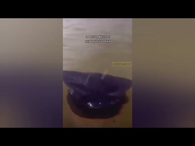 Во дворце уж четверть века аква дискотека. Угадай кто(на Плутина похож) смотреть онлайн