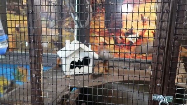 ВСТРЕЧА С ИНТЕРНЕТ ПОДРУГОЙ ПОСЛЕ 11 ЛЕТ ДРУЖБЫ: Влог из Ростова-на-Дону 2021 смотреть онлайн