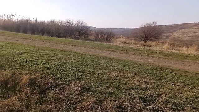 7 апреля 2024 г. (3).mp4 смотреть онлайн