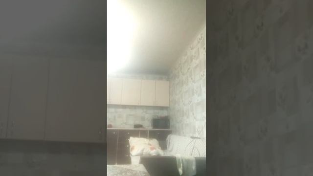 Денис захотел приготовить сахарные соты смотреть онлайн