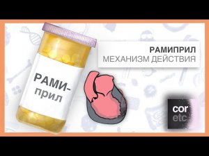 Как работает Рамиприл