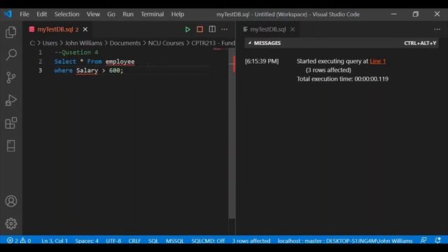 Visual Studio Code MSSQL Extension | Part 2: Write SQL смотреть онлайн