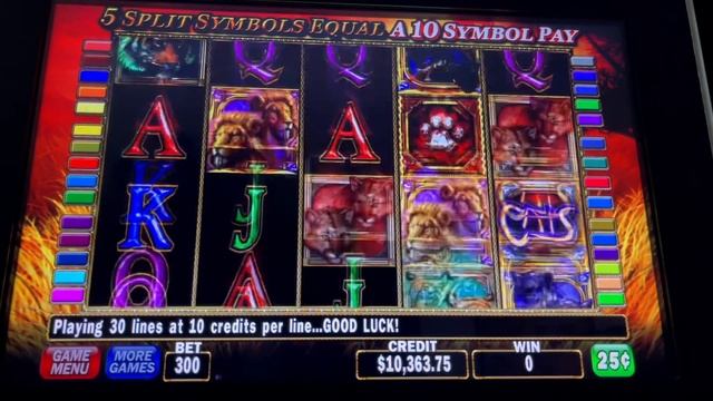 CATS SLOT JACKPOT/ FREE GAMES/ VEJA STOLE MY MACHINE/ HIGH LIMIT SLOT PLAY/ MAX BET смотреть онлайн