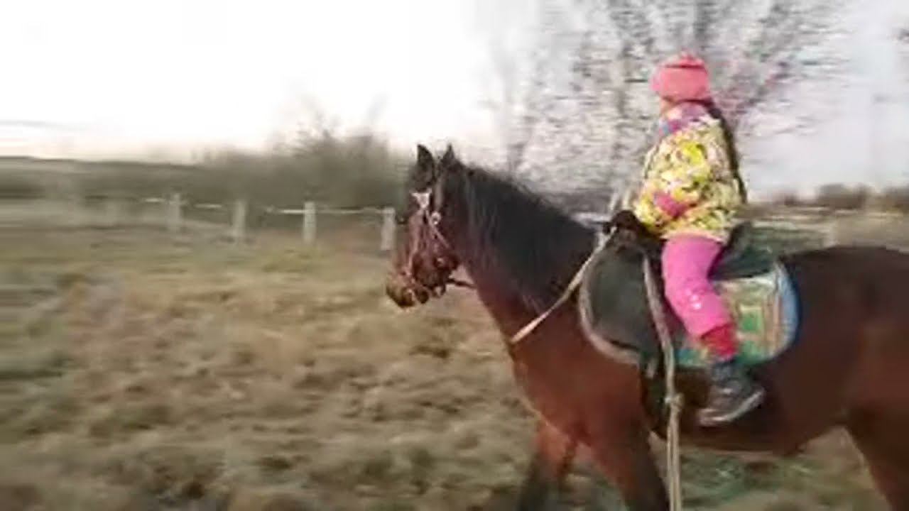 ВЕРХОМ НА КОНЕ смотреть онлайн