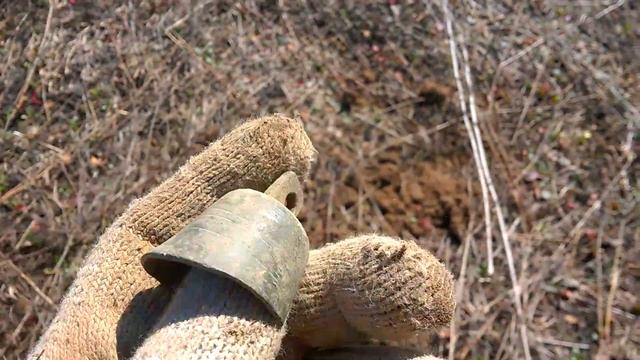 Поиск на средневековом поле. Коп с X-Terra 705 Nel Storm 18,75 смотреть онлайн