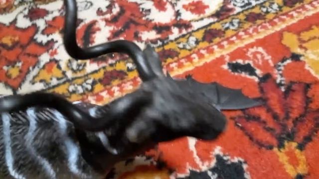 добро против зла. животные. часть1 смотреть онлайн