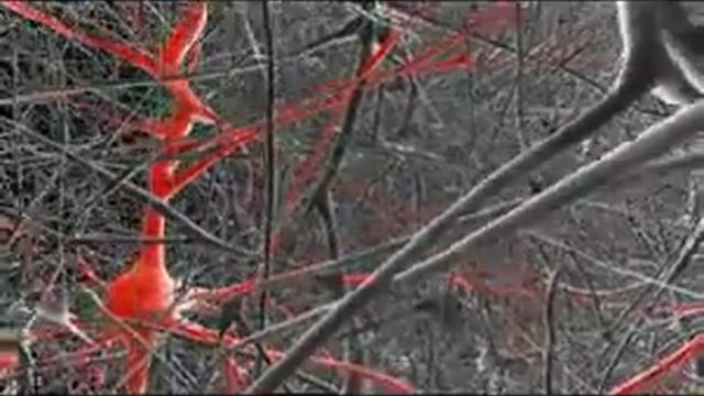 Нейросеть.flv смотреть онлайн