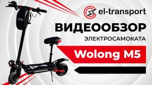 Обзор электросамоката Wolong M5, разбор и тест аккумулятора!