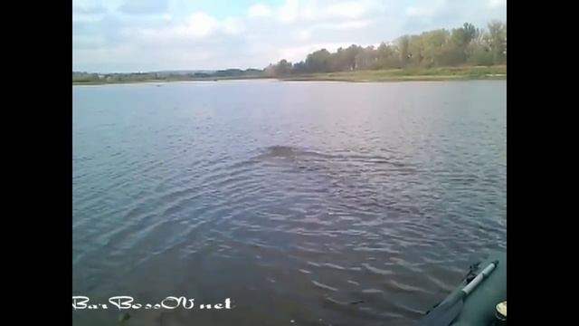 Вот это прикол!!! Случай на рыбалке! смотреть онлайн