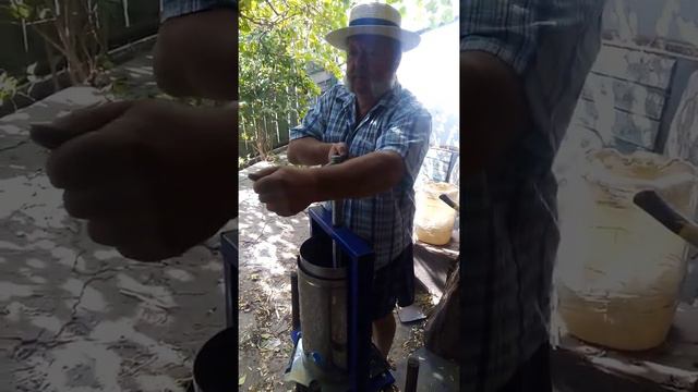 Александр баки занимается виноделием смотреть онлайн