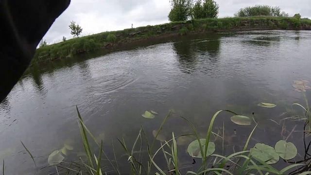 Обзор посылки с обжимом для поводков Kosadaka X11 и катушкой Daiwa 20 Exceler LT из Fmagazin.ru смотреть онлайн