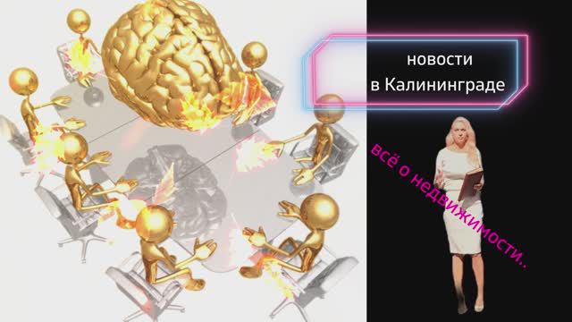 Новые законы в Калининграде.Строительный бизнес смотреть онлайн