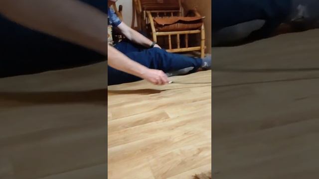 Щенок той пудель задорно играет. смотреть онлайн