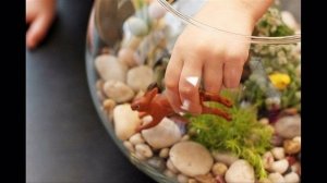 Создайте свой мини сад вместе с детьми!