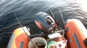 Правильный подбор наживки для камбалы.Осенний жор.Мыс Вятлина.