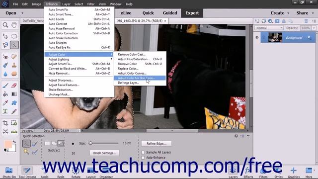 Photoshop Elements 15 Tutorial Adjusting Skin Tone Adobe Training смотреть онлайн