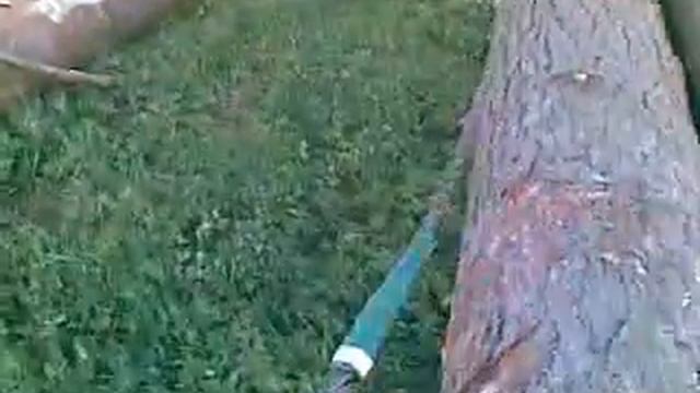 Сортировка бревен на пилораме.mp4 смотреть онлайн