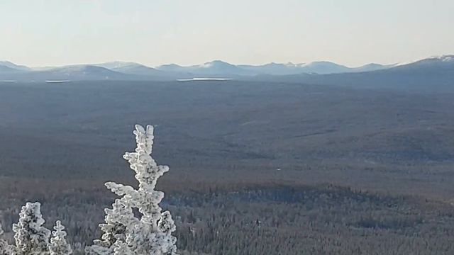 гора Уреньга (первая сопка) высота 1165 наш поход 03/02/2020 (@eklementevaofficial) смотреть онлайн