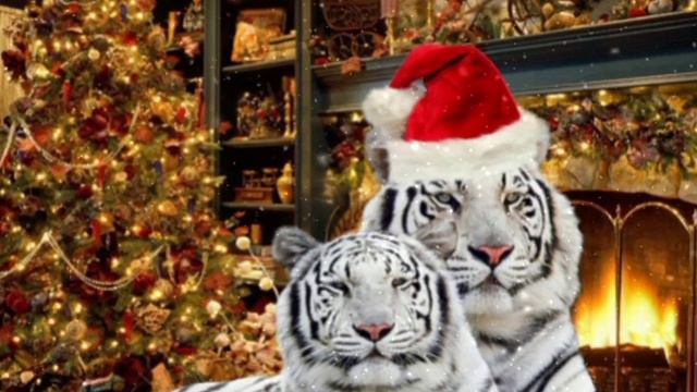 Классное поздравление С НОВЫМ 2022 ГОДОМ!!! смотреть онлайн