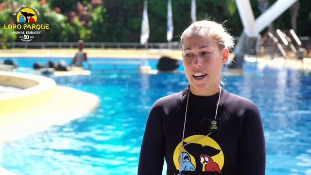 Kohana's Farewell | Loro Parque смотреть онлайн