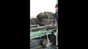 Сухая морская капуста 1