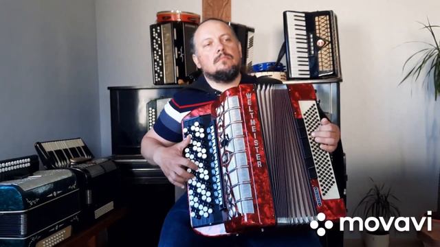 #Вы_шумите_шумите_на_до_мною_берёзы#кавер_версия#баян_Weltmeister# смотреть онлайн