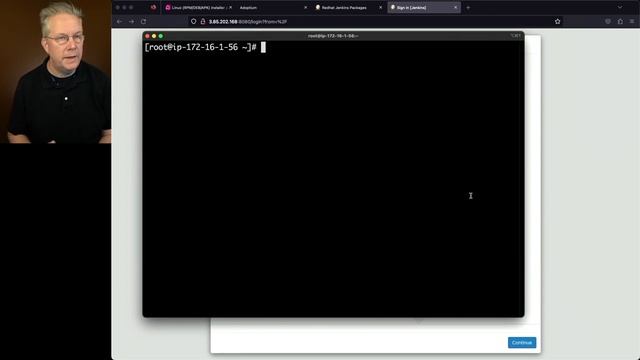 How To Install Jenkins on Amazon Linux 2023 смотреть онлайн