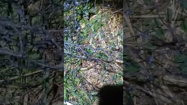 Рыбалка в с. Солдатское КБР смотреть онлайн