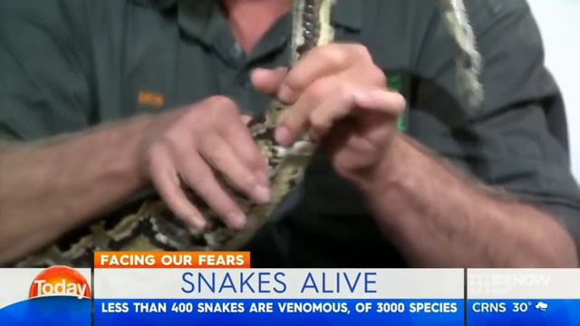 Georgie faces her fear of Snakes | TODAY Show Australia смотреть онлайн
