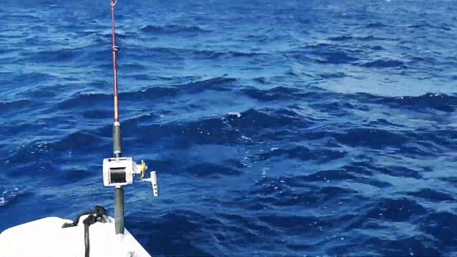 ТЕНЕРИФЕ . РЫБАЛКА И РЫБНАЯ ПОХЛЕБКА . ЛЕТНЯЯ ПРОДЛЕНКА #таещекулинарка