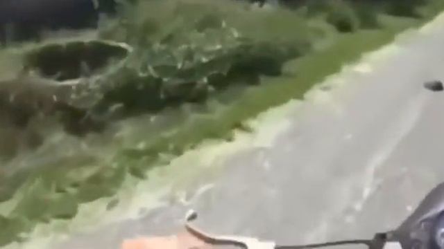 Бедный ёжик!!!!) смотреть онлайн