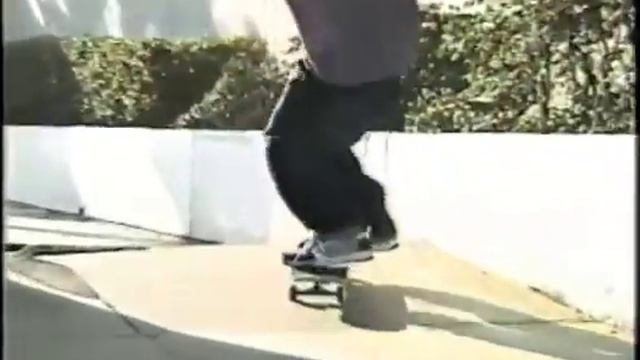 Classics - Mark Appleyard Habitat Photosynthesis смотреть онлайн