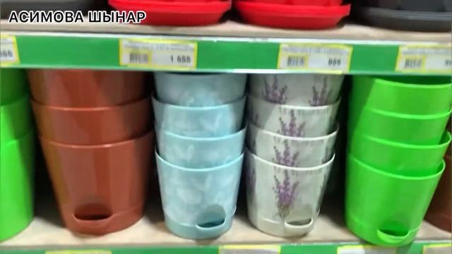 Құмыра ??таңдау #zeta магазинінен сатып алу смотреть онлайн