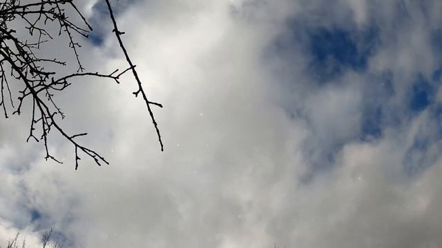 4 волшебные фразы, которые помогут погасить любой конфликт смотреть онлайн