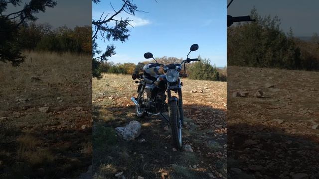Альфа в горах. смотреть онлайн