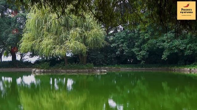 Рассказ мужчины | Измена жены. Достал обман капризной супруги. Праведная месть мужа. История смотреть онлайн