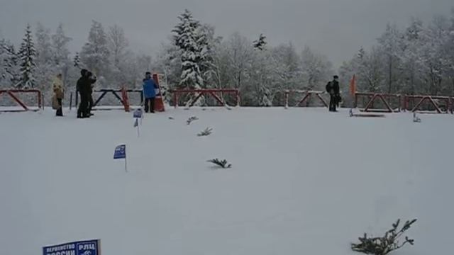 Чемпионат Карелии по лыжным гонкам смотреть онлайн